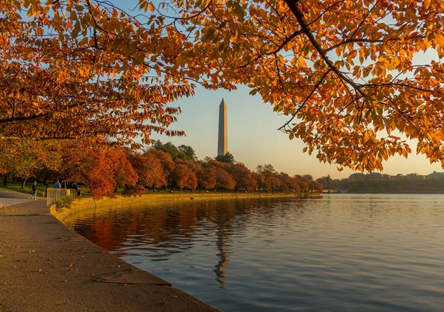 View of Washington Monument in the Fall