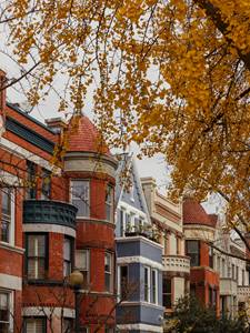 Dupont circle rowhomes in fall